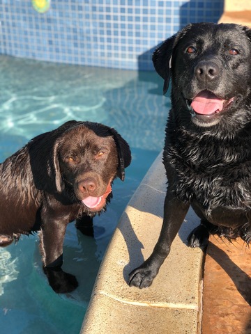 Porter and aunt Kona