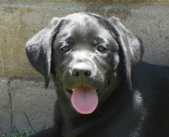 Ruth 8 weeks